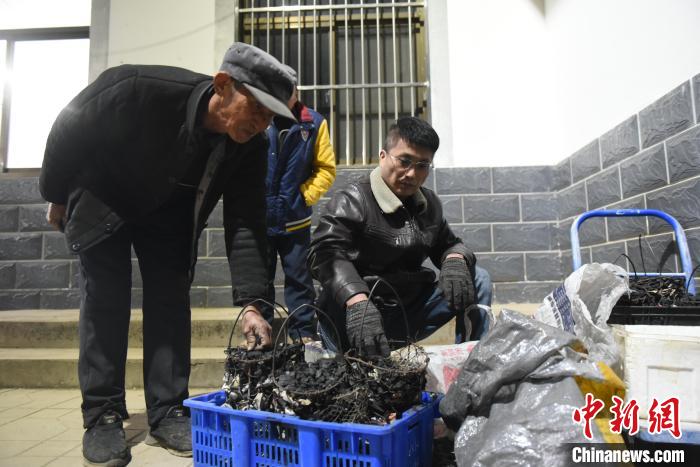 天顺平台登录：河北深州：非遗“甩花”庆“填仓”