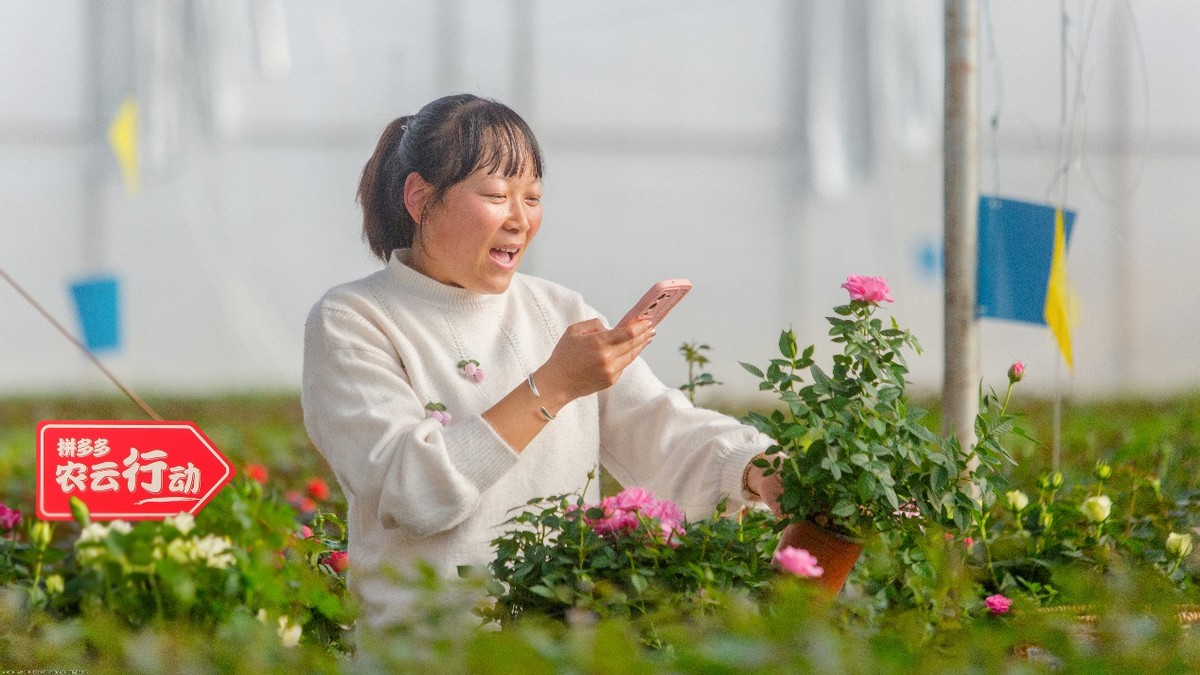 天顺娱乐注册：拼多多2022年研发费用破百亿，重投农业科技，满足用户品质需求
